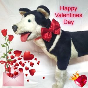 🐶 3 for $15 * Pablo Red Satin Valentines Dog Bow Tie